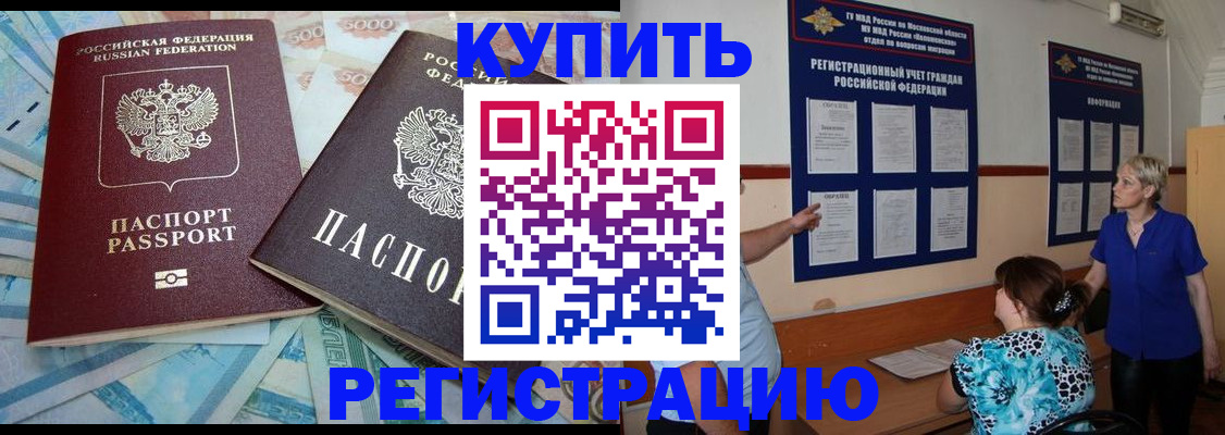 прописка поиск в Химках